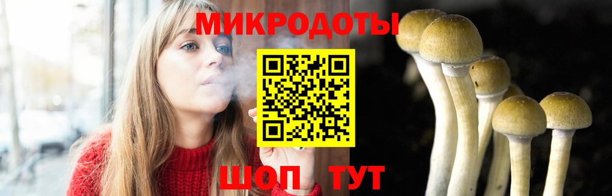 Элиста  Галлюциногенные грибы Psilocybe  Вход с VPN 